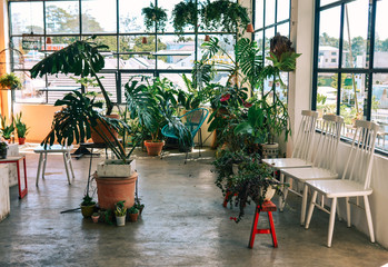 Living room with many green plants