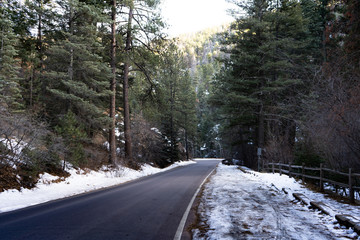 road in winter forest