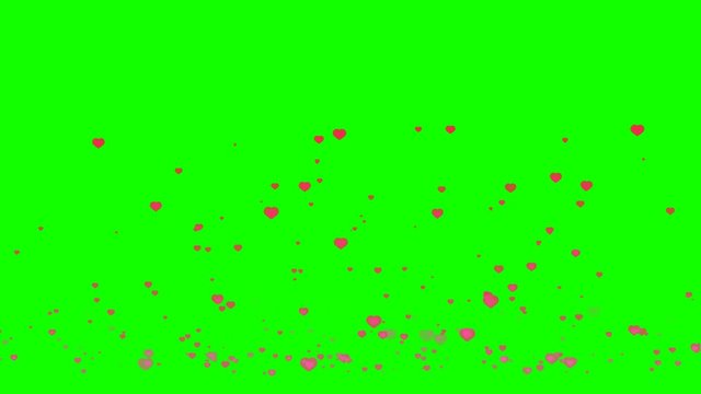 little hearts inside born dark pink color and dead red of hearts flying on green screen