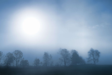 Obraz premium Sunrise over a foggy treeline, Stowe, Vermont, USA