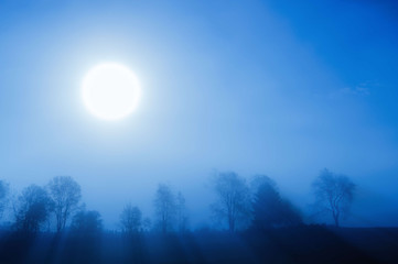 Sunrise over a foggy treeline, Stowe, Vermont, USA