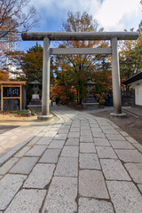Yohashira Shrine (meaning four pillars) in Autumn, a landmark in Matsumoto city, Japan. Was built during the Meiji Period and is dedicated to four Shinto deities.