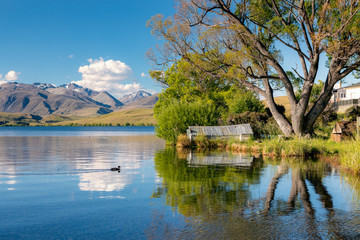 Fototapeta na wymiar Rural scene near Lake Alexandrina, small shed and old fashioned wooden swing on the bank if the lake, New Zealand