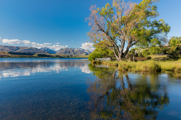 Panoramic view of Lake Alexandrina, Tekapo Area, New Zealand