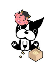 ボストンテリア・節分