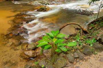 River from area Lampang   in Upper Thailand.