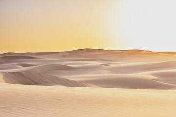 Fototapeta na wymiar The emptiness of desert during sunrise. Waves of yellow warm sand and a flat stripe on foredround. Stockton Sand Dunes near the coast, Worimi Regional Park, Anna Bay, Australia