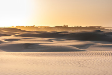Fototapeta na wymiar The emptiness of desert during sunrise. High contrast waves of yellow warm sand and a flat stripe on foredround. Stockton Sand Dunes near the coast, Worimi Regional Park, Anna Bay, Australia
