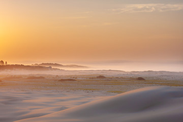Fototapeta na wymiar Soft desert landscape, a stripe of woods and fog on horison. Sunrise. Contrast of warm colors of sky and cold sand. Stockton Sand Dunes near the coast, Worimi Regional Park, Anna Bay, Australia