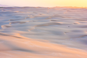 The emptiness of desert during sunrise. Waves of bluish light sand. Stockton Sand Dunes near the coast, Worimi Regional Park, Anna Bay, Australia