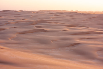 Fototapeta na wymiar The emptiness of desert during sunrise. Waves of yellow warm sand. Stockton Sand Dunes near the coast, Worimi Regional Park, Anna Bay, Australia