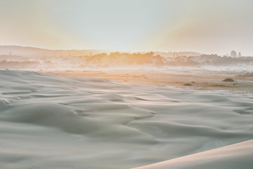 Light soft desert landscape, a stripe of woods and fog on horison. Sunrise. Stockton Sand Dunes near the coast, Worimi Regional Park, Anna Bay, Australia