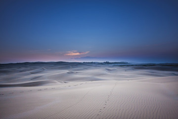 Bright unreal contrast desert landscape. Night time mood. A chain of traces stretches to the horizon. Stockton Sand Dunes near the coast, Worimi Regional Park, Anna Bay, Australia