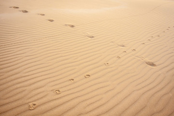 Surface of a sand dune, covered with small ripples.  A trace of a small desert animal and human steps crossing it. Stockton Sand Dunes near the coast, Anna Bay, Australia. Closeup.