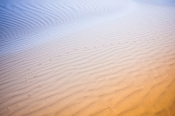 Surface of sand dune of unreal orange and blue color. Stockton Sand Dunes, Anna Bay, Australia....