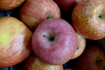 apples in the market