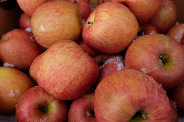 red apples in the market
