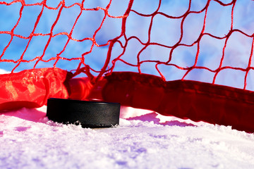 A black rubber puck lies in the red goal after a goal scored near the post. Ice Hockey World...