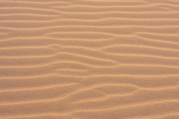 Texture, the surface of a sand dune of a pink shade, covered with small ripples of the waves going vertically. Stockton Sand Dunes near the coast, Worimi Regional Park, Anna Bay, Australia