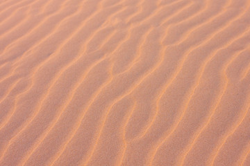 Fototapeta na wymiar Texture, the surface of a sand dune of a pink shade, covered with small ripples of the waves going diagonally. Stockton Sand Dunes near the coast, Worimi Regional Park, Anna Bay, Australia. Closeup.