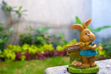 rabbit garden