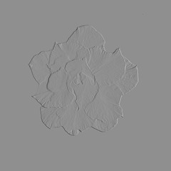 Embossed skin of flowers and leaves in gray tones