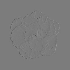 Embossed skin of flowers and leaves in gray tones