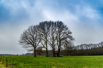 Rund um den Krahforst