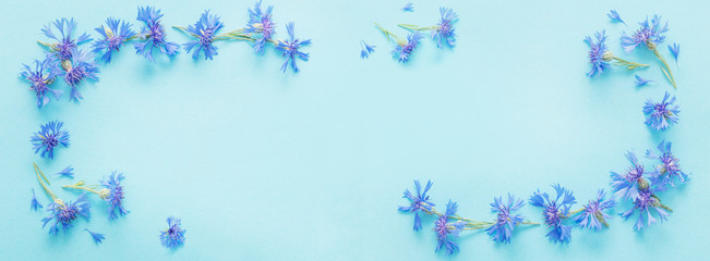 blue cornflowers on blue paper background