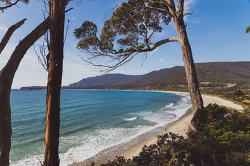 view of the beach next to the Tessalated Pavement in Eaglehack Neck in the Tasman Peninsula