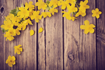 yellow spring flowers on dark wooden background