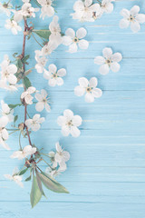 Fototapeta na wymiar spring flowers on blue wooden background