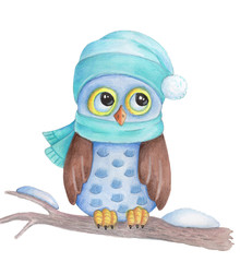 Cartoon watercolor night forest bird owl, blue and brown. Isolated on white.