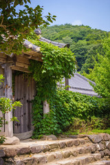 Fototapeta na wymiar Provincial Korea.