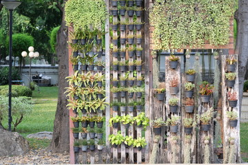 The idea of ​​decorating a Hanging garden in a small space that can be designed by yourself. This "Hanging garden" is decorated with many kinds of trees, looks charming and orderly.