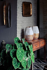 An decorative ceramic set in the interior home.