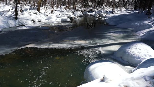 Snow falls on Oak Creek Canyon outside of Sedona AZ in snow