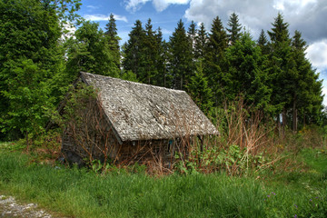 A discarded hunter's hut in the forest (HDR version)