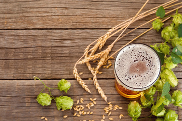 Glass of beer with foam, green hop plant cones and ripe malt ears on wooden rustic background, flat lay and copy space
