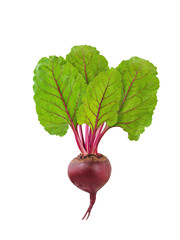 Beetroot isolated. Fresh raw beet with green leaves isolated on white background