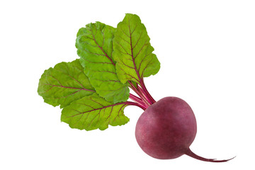 Beetroot with foliage. Isolated fresh beet with green beautiful leaves on white background.