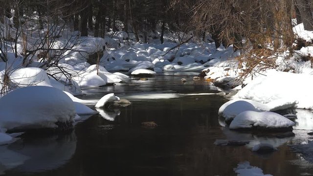 Snow falls on Oak Creek Canyon outside of Sedona AZ in snow