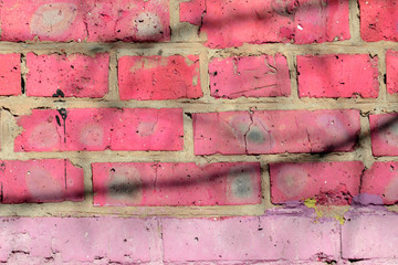 Fragment of an old brick wall painted pink paint with a shadow from tree branches on a sunny day. Abstract background