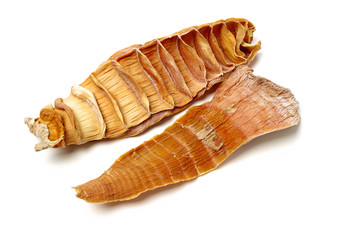 Dry young bamboo shoot on white background