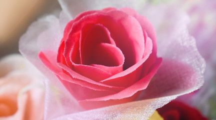 Top view of one pink rose