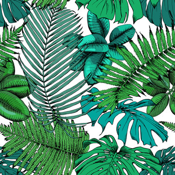 Seamless pattern with image of a green Exotic leaves: date palm, fern, rubber plant, monstera on a white background. Vector illustration.