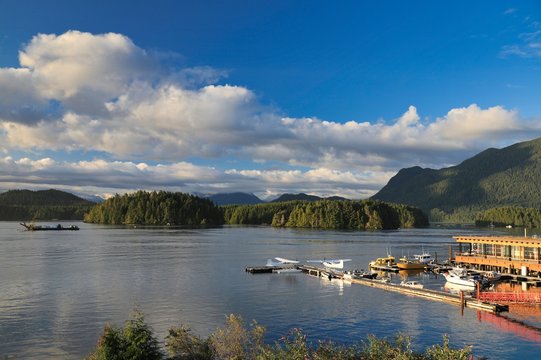 Tofino Harbor on a Sunny Day: Tranquil British Columbia town with plane and boat tours at the harbor