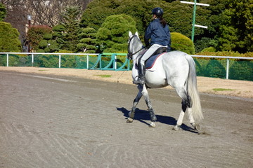 馬場公園の馬場乗馬模様