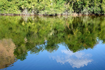green trees, bushes, grass, blue sky, cloud are reflected in water surface of river, pond, lake in the natural park.