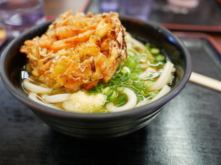 讃岐うどん　udon